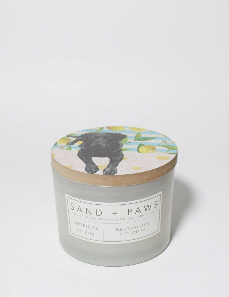 Sand + Paws Tropical Citrus 12 Oz Scented Candle