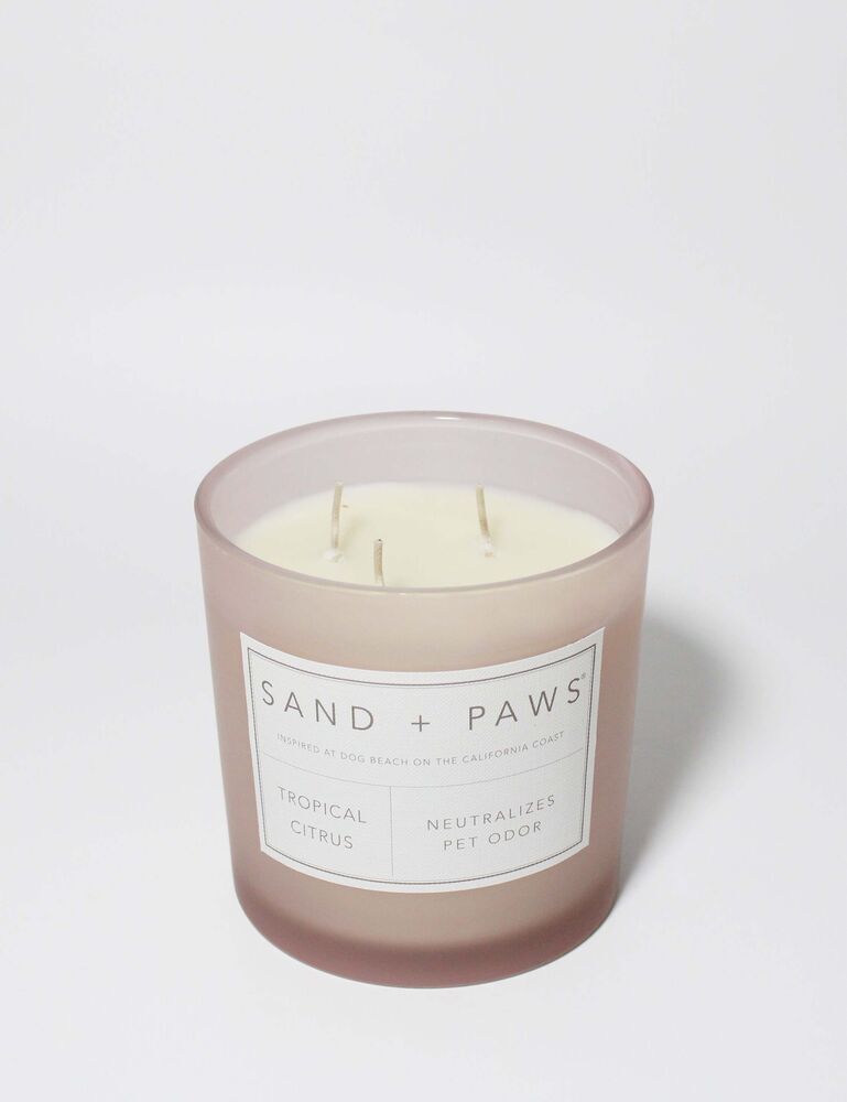 Sand + Paws Tropical Citrus 21 Oz Scented Candle - Image 3