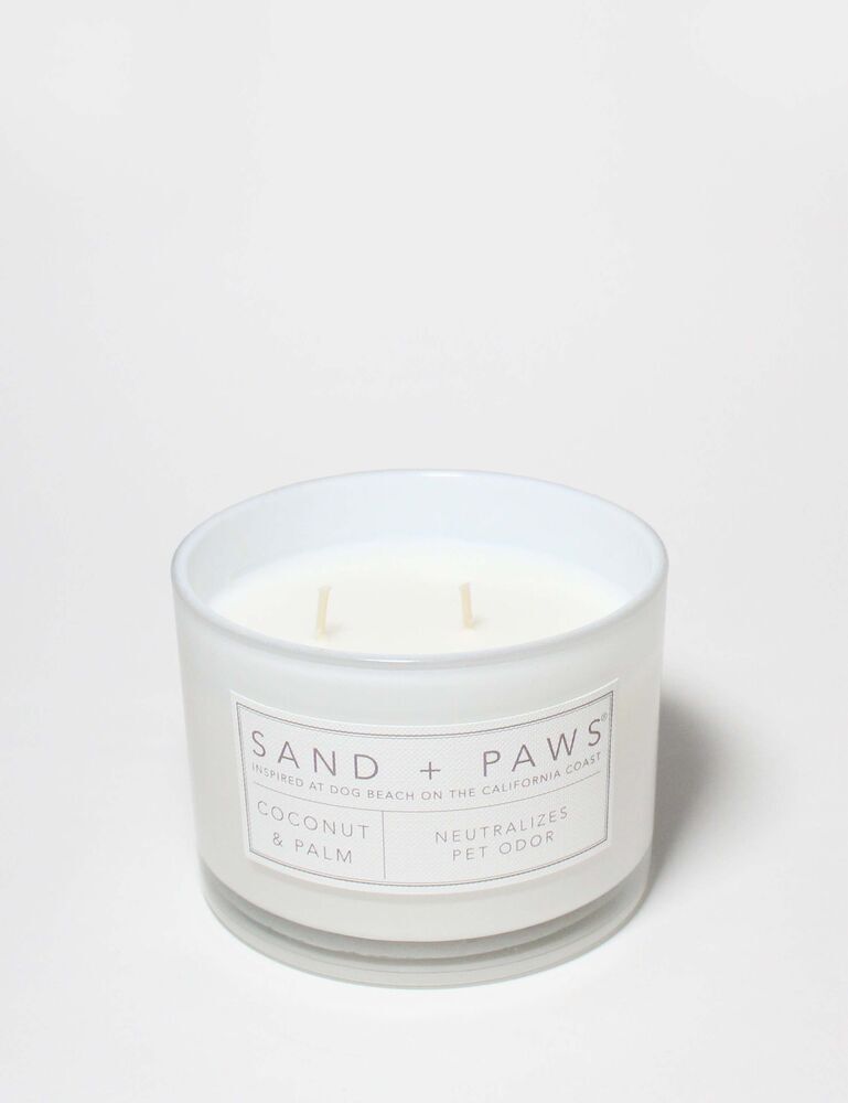 Sand + Paws Coconut & Palm 12 Oz Scented Candle - Image 3