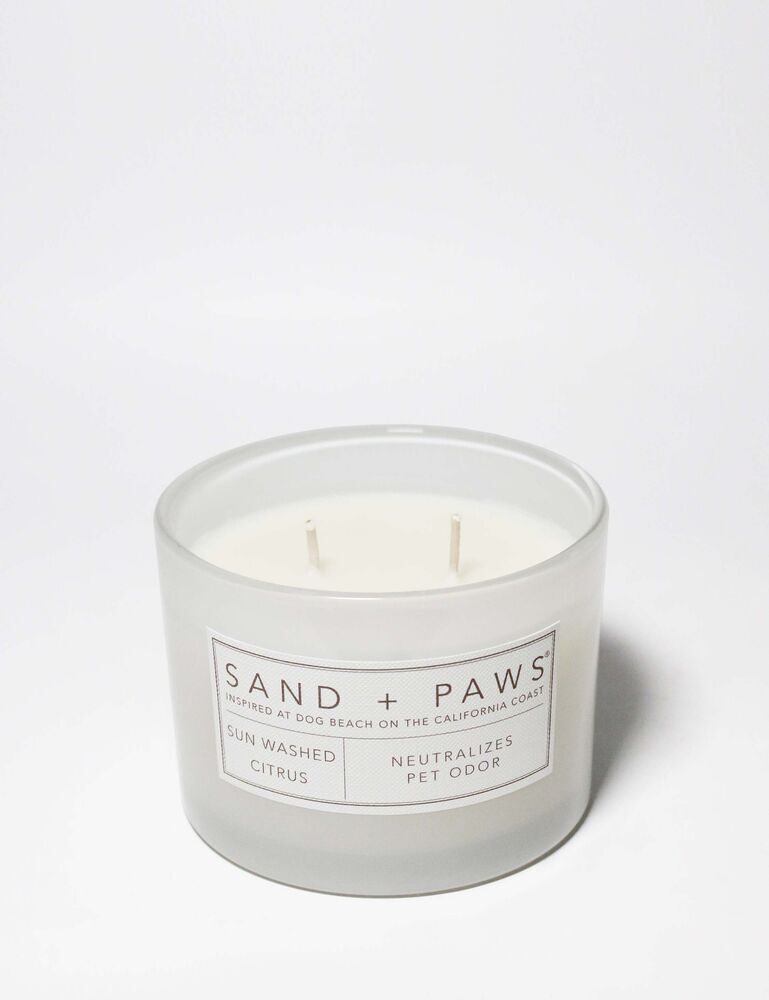 Sand + Paws Sun Washed Citrus 12 Oz Scented Candle - Image 3