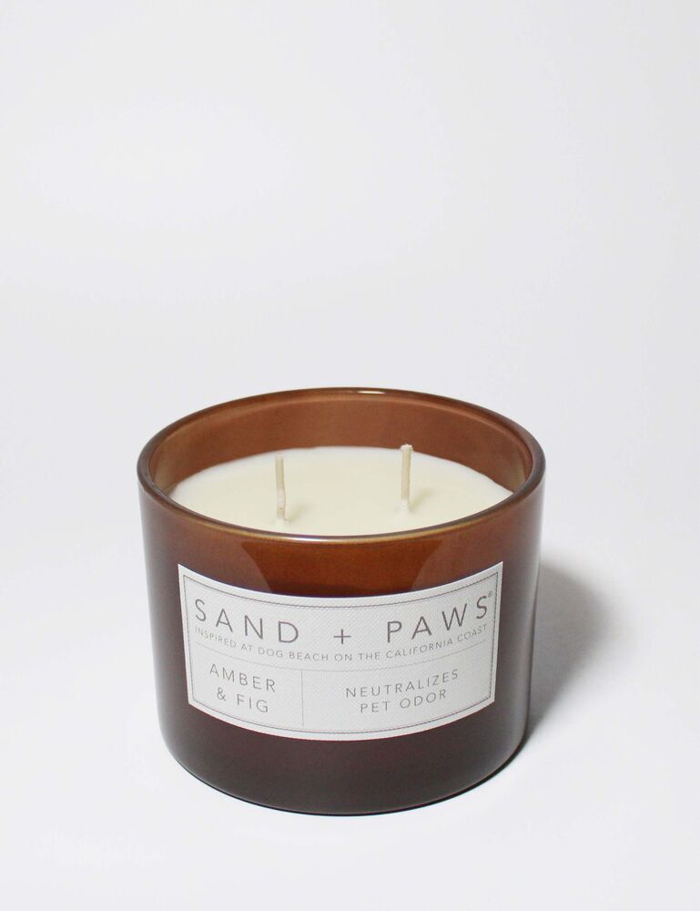Sand + Paws Amber & Fig 12 Oz Scented Candle - Image 3