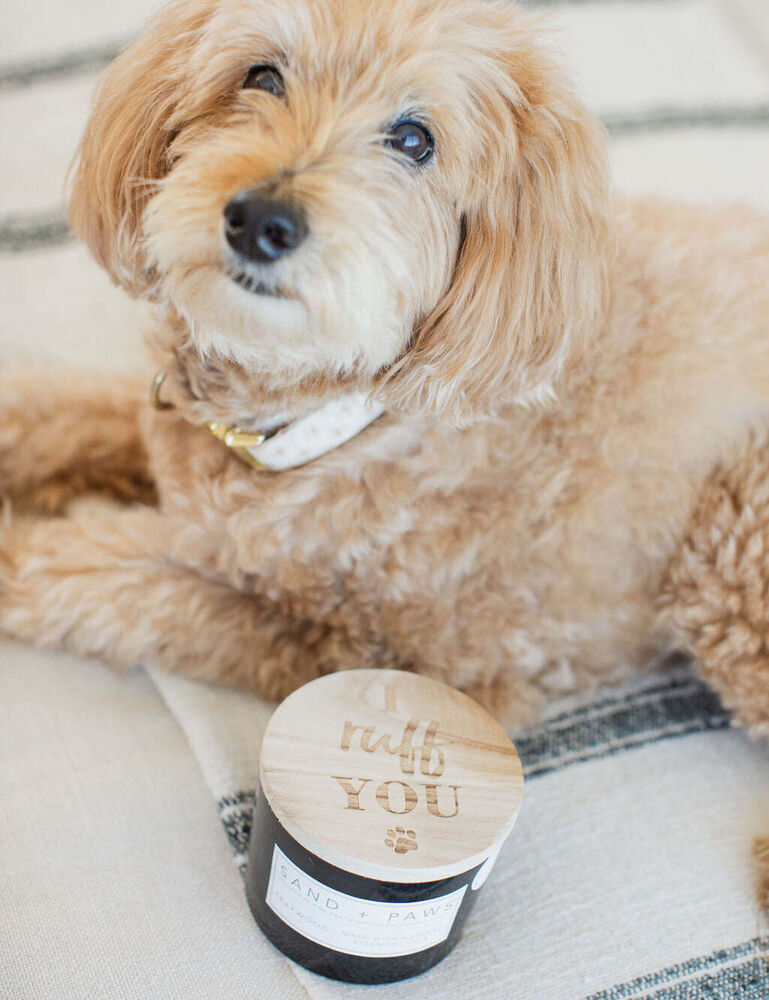 Sand + Paws Teakwood 12 Oz Scented Candle - Image 5