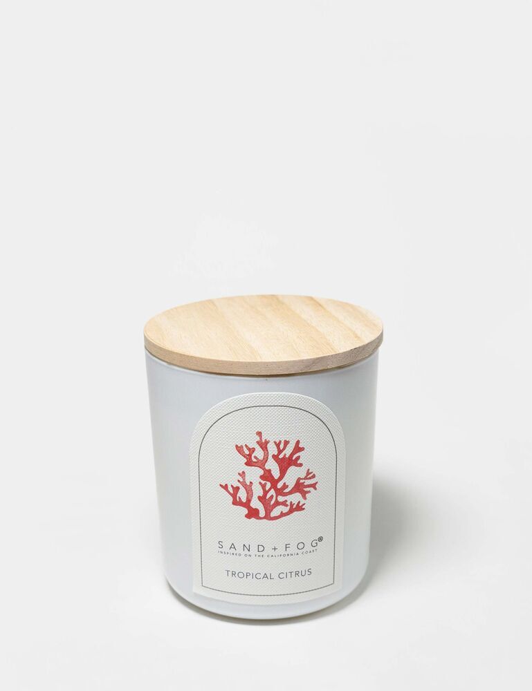 Tropical Citrus 10 Oz Scented Candle